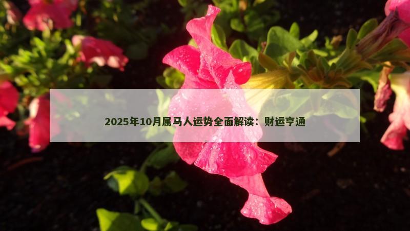 2025年10月属马人运势全面解读:财运亨通