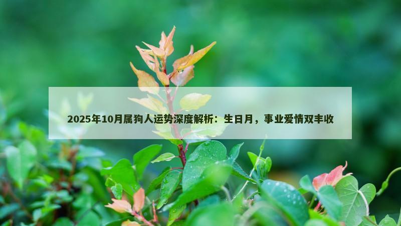 2025年10月属狗人运势深度解析:生日月,事业爱情双丰收