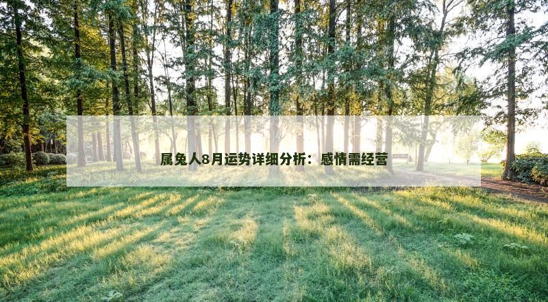 属兔人8月运势详细分析:感情需经营