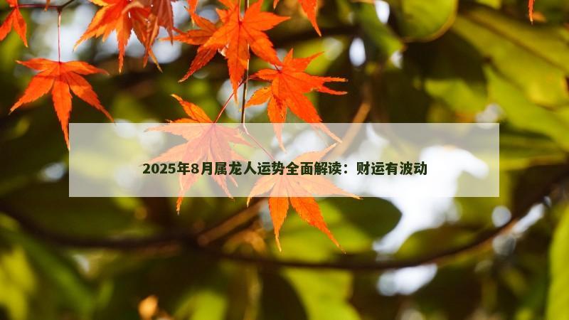 2025年8月属龙人运势全面解读:财运有波动