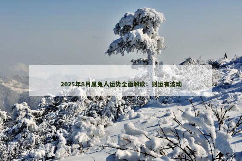 2025年8月属兔人运势全面解读:财运有波动
