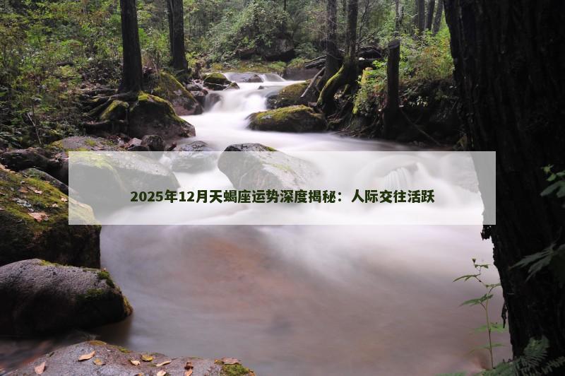 2025年12月天蝎座运势深度揭秘:人际交往活跃