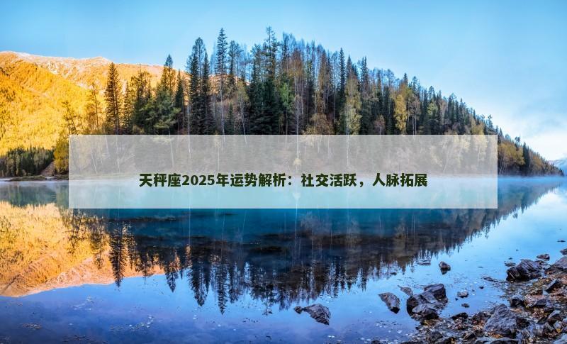天秤座2025年运势解析:社交活跃,人脉拓展