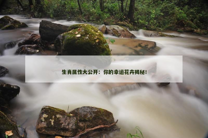 生肖属性大公开：你的幸运花卉揭秘！