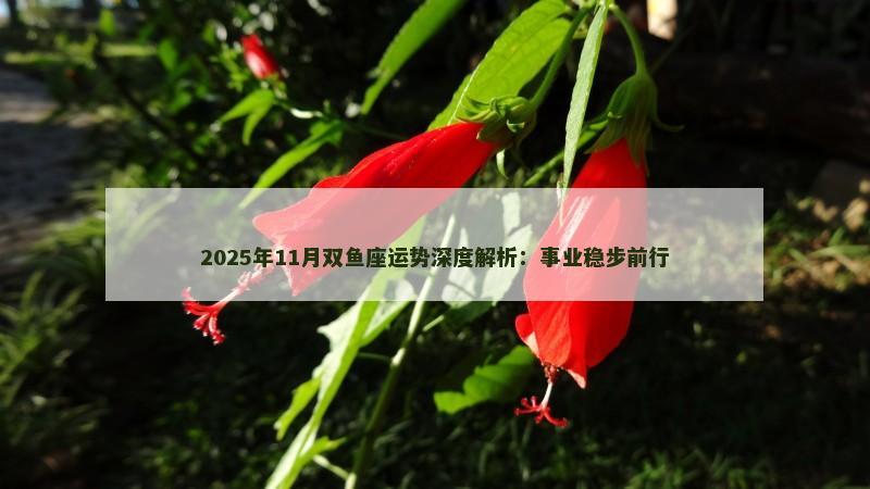 2025年11月双鱼座运势深度解析:事业稳步前行