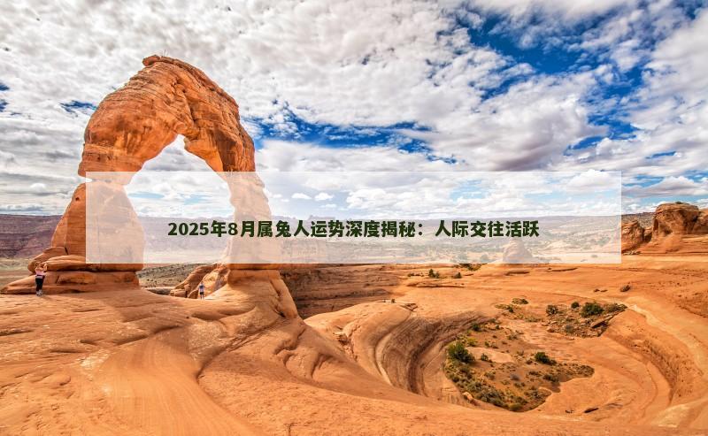 2025年8月属兔人运势深度揭秘:人际交往活跃