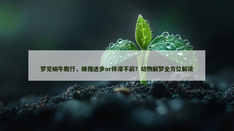 梦见蜗牛爬行,缓慢进步or停滞不前?动物解梦全方位解读