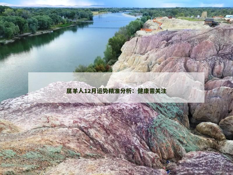 属羊人12月运势精准分析:健康需关注