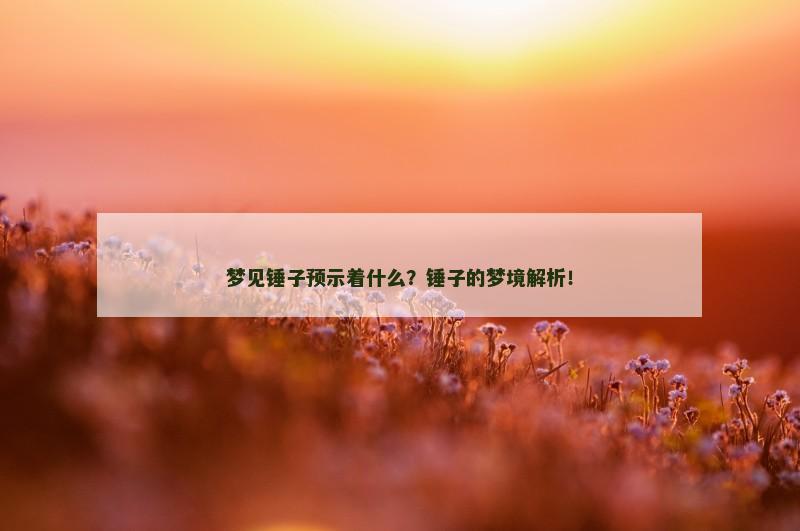 梦见锤子预示着什么?锤子的梦境解析!