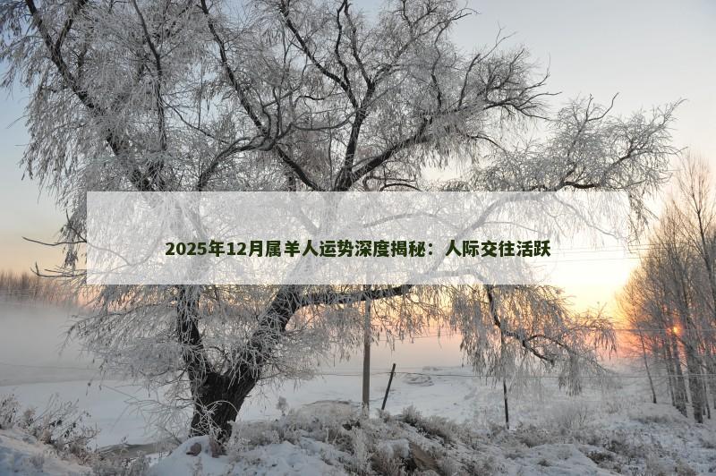 2025年12月属羊人运势深度揭秘:人际交往活跃