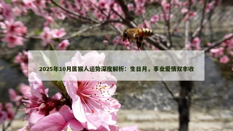 2025年10月属猴人运势深度解析:生日月,事业爱情双丰收
