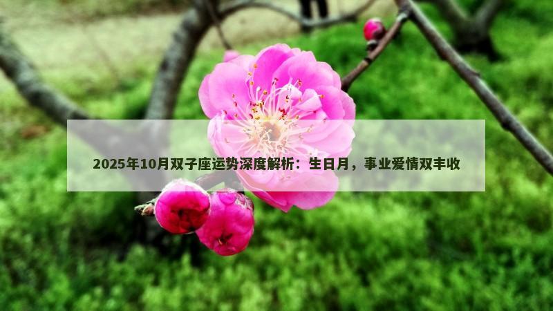 2025年10月双子座运势深度解析:生日月,事业爱情双丰收