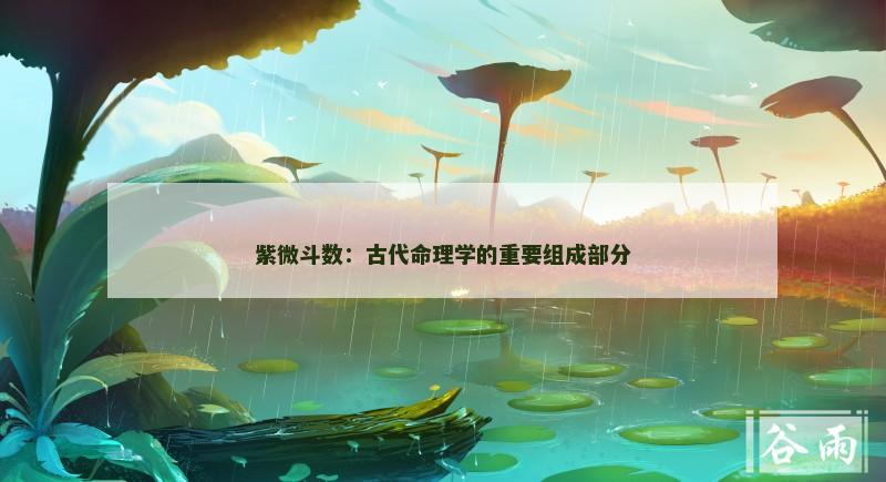 紫微斗数:古代命理学的重要组成部分