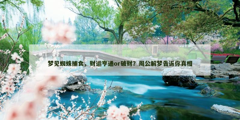 梦见蜘蛛捕食，财运亨通or破财？周公解梦告诉你真相