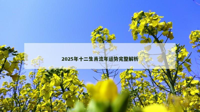 2025年十二生肖流年运势完整解析