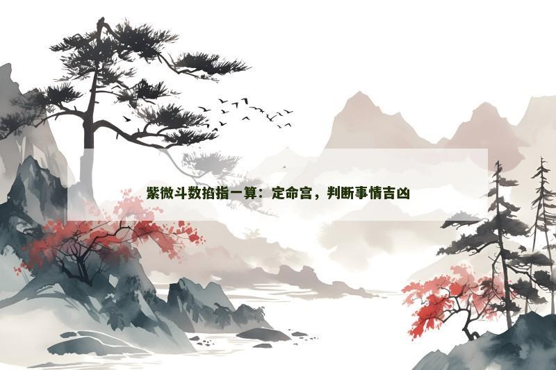 紫微斗数掐指一算:定命宫,判断事情吉凶