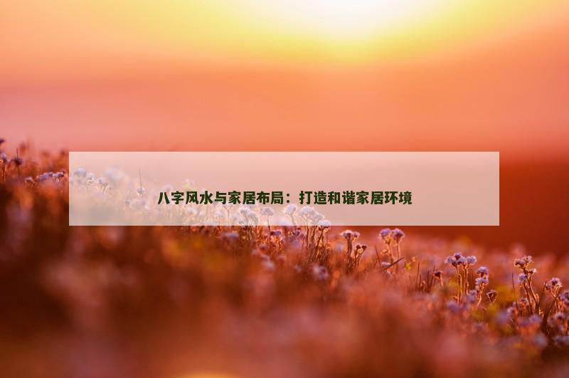 八字风水与家居布局:打造和谐家居环境