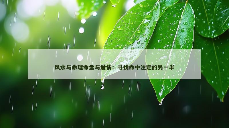 风水与命理命盘与爱情:寻找命中注定的另一半