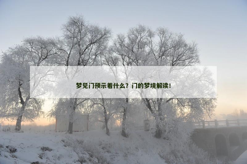 梦见门预示着什么?门的梦境解读!