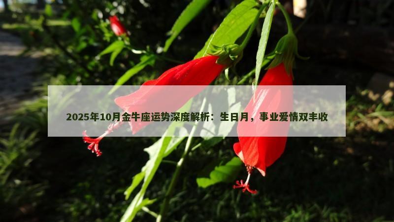 2025年10月金牛座运势深度解析:生日月,事业爱情双丰收
