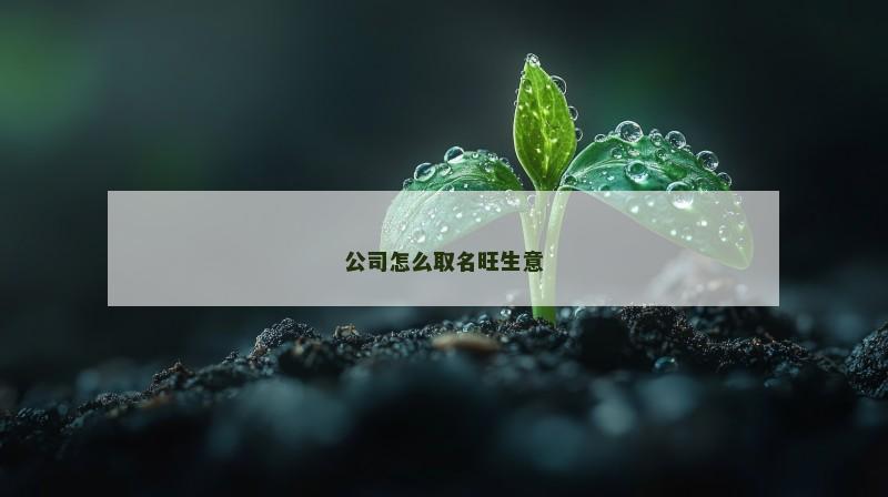 公司怎么取名旺生意