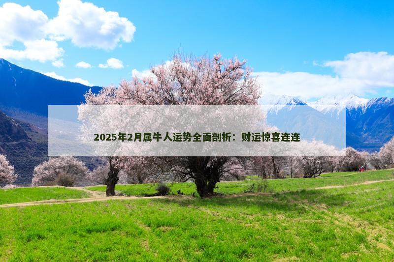 2025年2月属牛人运势全面剖析:财运惊喜连连