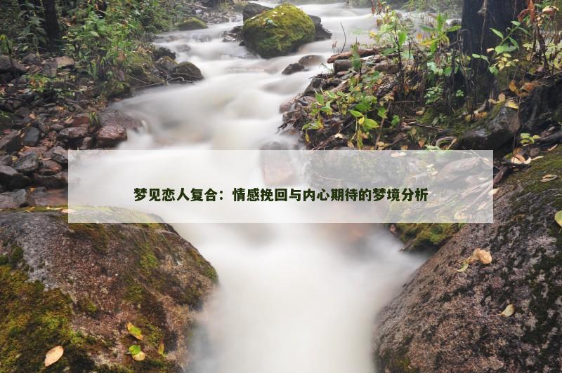 梦见恋人复合:情感挽回与内心期待的梦境分析