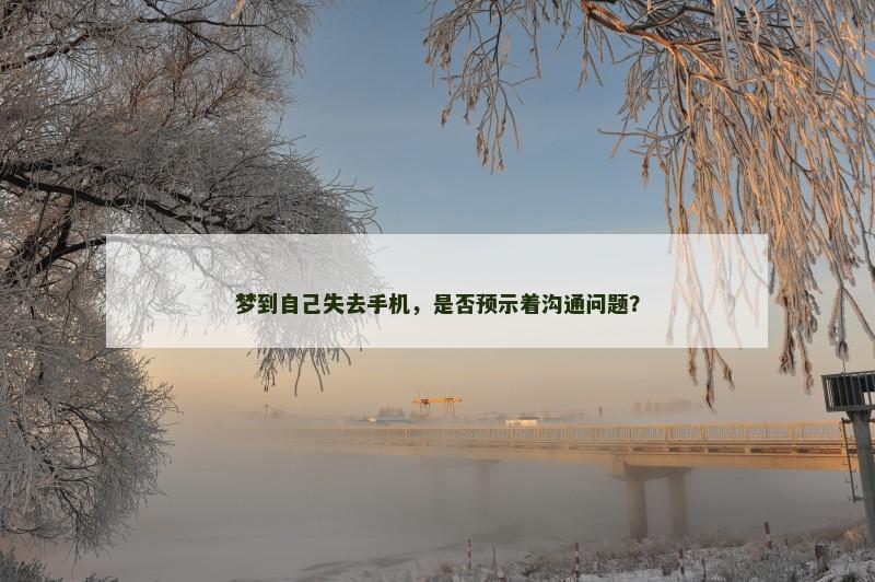 梦到自己失去手机,是否预示着沟通问题?