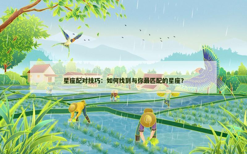 星座配对技巧：如何找到与你最匹配的星座？