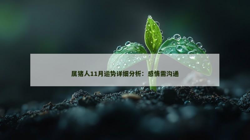 属猪人11月运势详细分析:感情需沟通