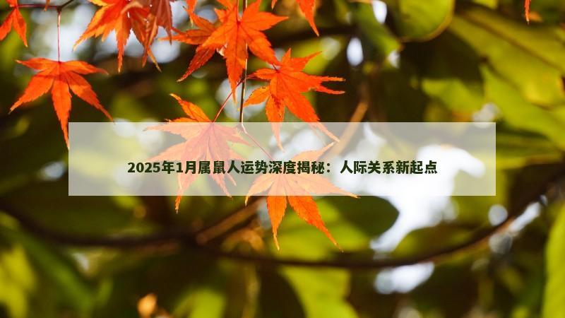 2025年1月属鼠人运势深度揭秘:人际关系新起点