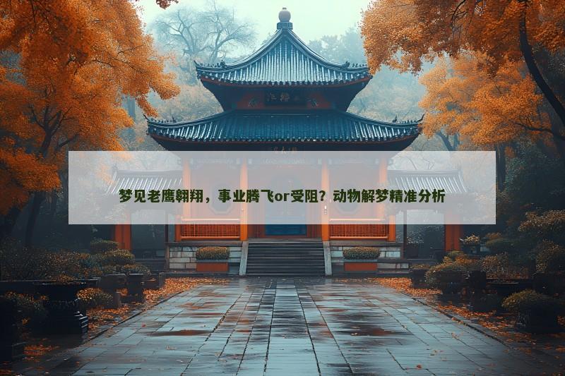 梦见老鹰翱翔,事业腾飞or受阻?动物解梦精准分析