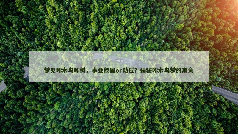 梦见啄木鸟啄树,事业稳固or动摇?揭秘啄木鸟梦的寓意