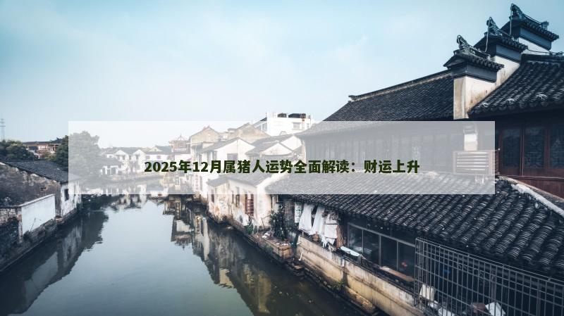 2025年12月属猪人运势全面解读:财运上升