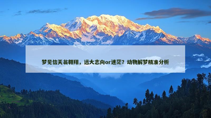 梦见信天翁翱翔,远大志向or迷茫?动物解梦精准分析