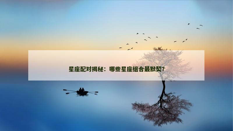 星座配对揭秘：哪些星座组合最默契？