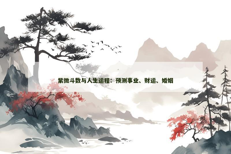 紫微斗数与人生运程:预测事业、财运、婚姻