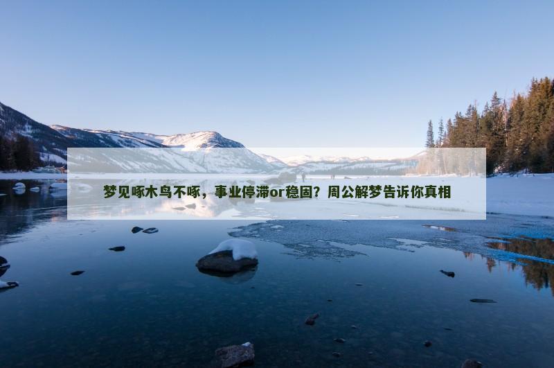 梦见啄木鸟不啄,事业停滞or稳固?周公解梦告诉你真相