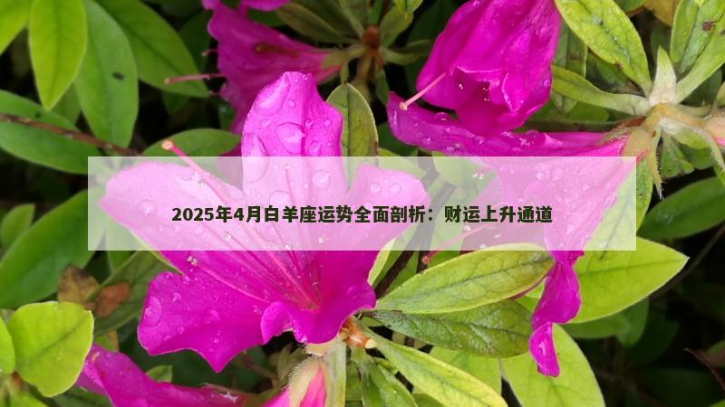 2025年4月白羊座运势全面剖析:财运上升通道