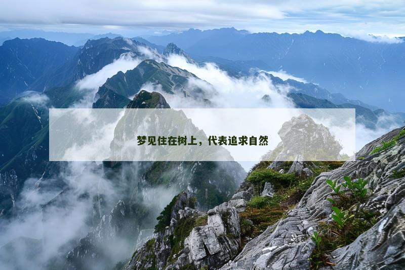 梦见住在树上,代表追求自然
