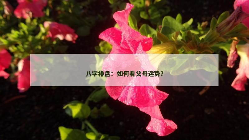 八字排盘:如何看父母运势?