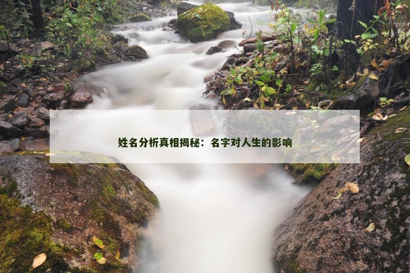 姓名分析真相揭秘：名字对人生的影响