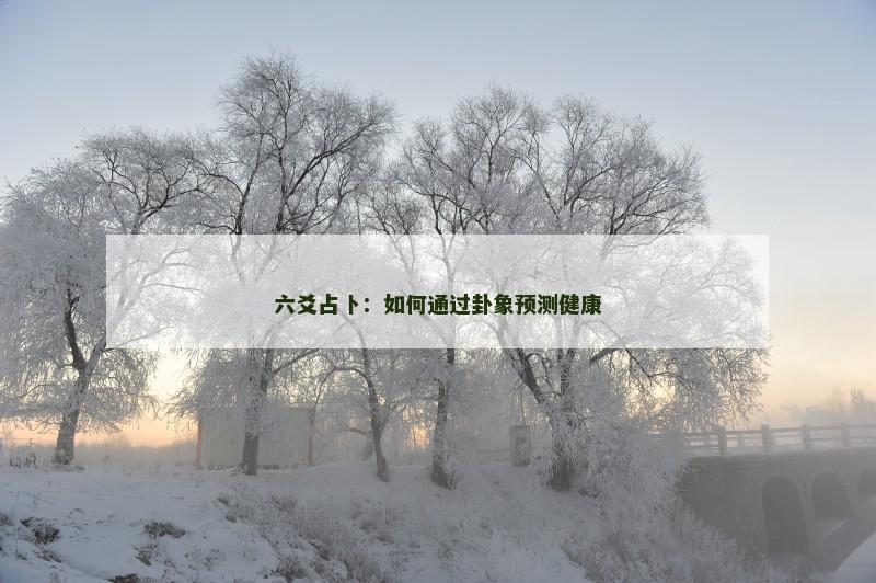 六爻占卜：如何通过卦象预测健康