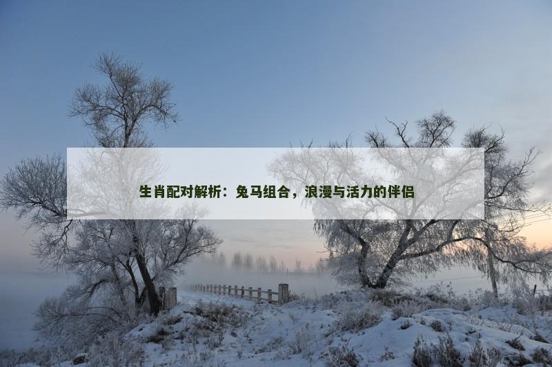 生肖配对解析：兔马组合，浪漫与活力的伴侣