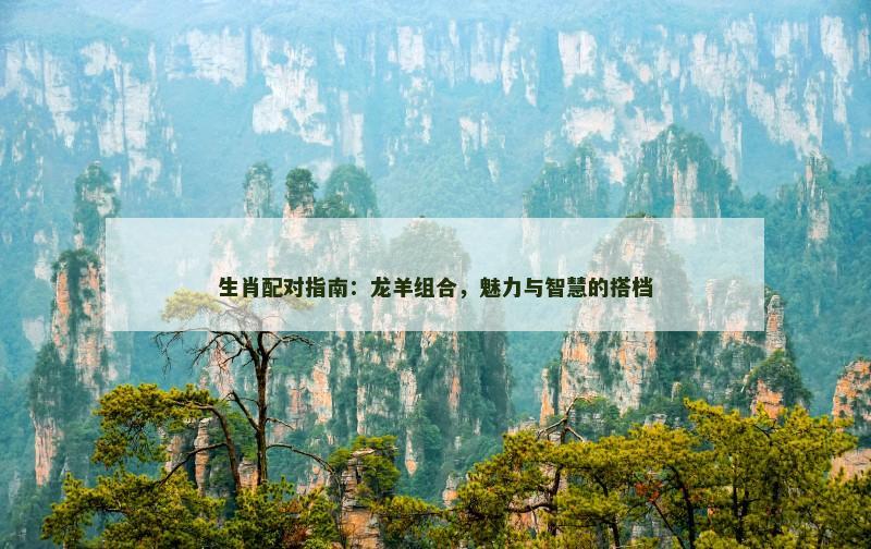 生肖配对指南：龙羊组合，魅力与智慧的搭档