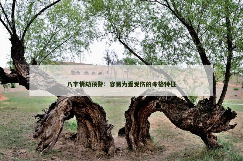 八字情劫预警：容易为爱受伤的命格特征