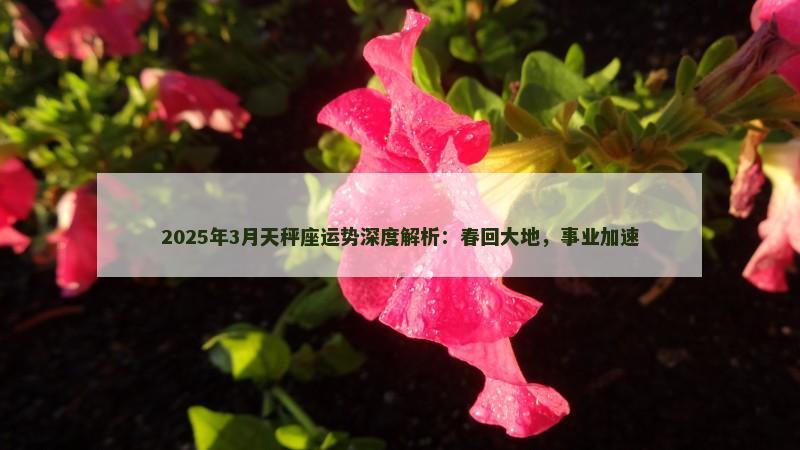 2025年3月天秤座运势深度解析:春回大地,事业加速