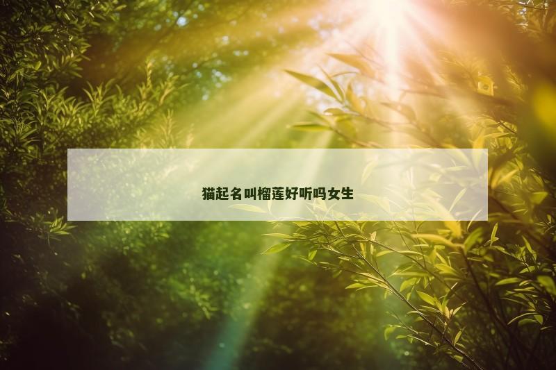 猫起名叫榴莲好听吗女生