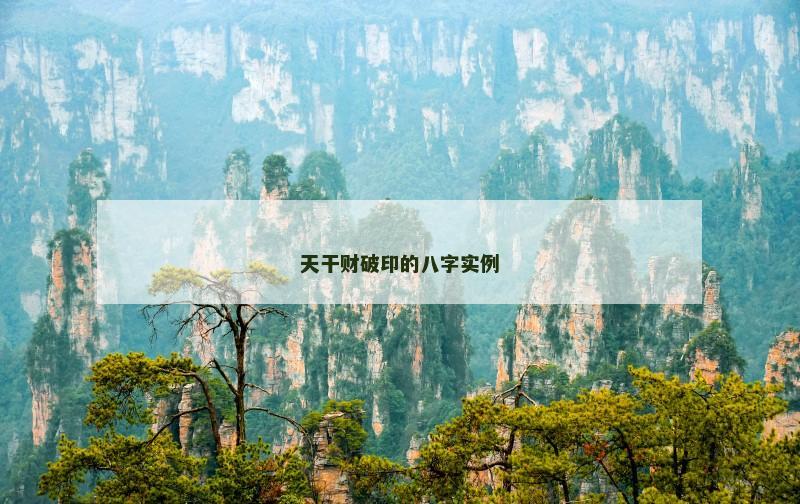 天干财破印的八字实例