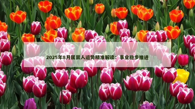 2025年8月属鼠人运势精准解读:事业稳步推进